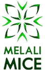 Melali Mice